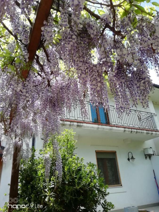 Villa Biancofiore San Giovanni Rotondo Exterior foto